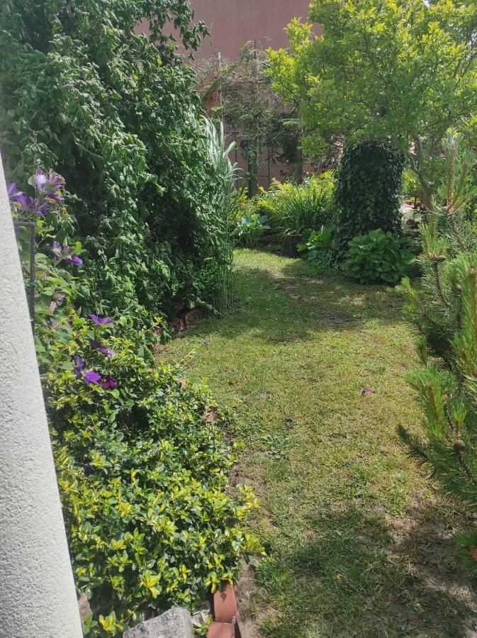 Pokoje Goscinne Cuma Łeba Exterior foto